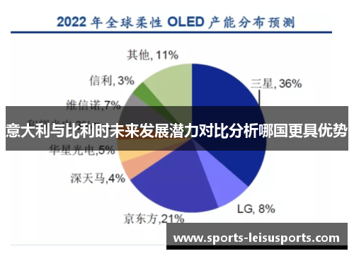 意大利与比利时未来发展潜力对比分析哪国更具优势