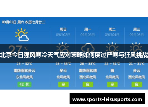 北京今日强风寒冷天气应对策略如何度过严寒与狂风挑战